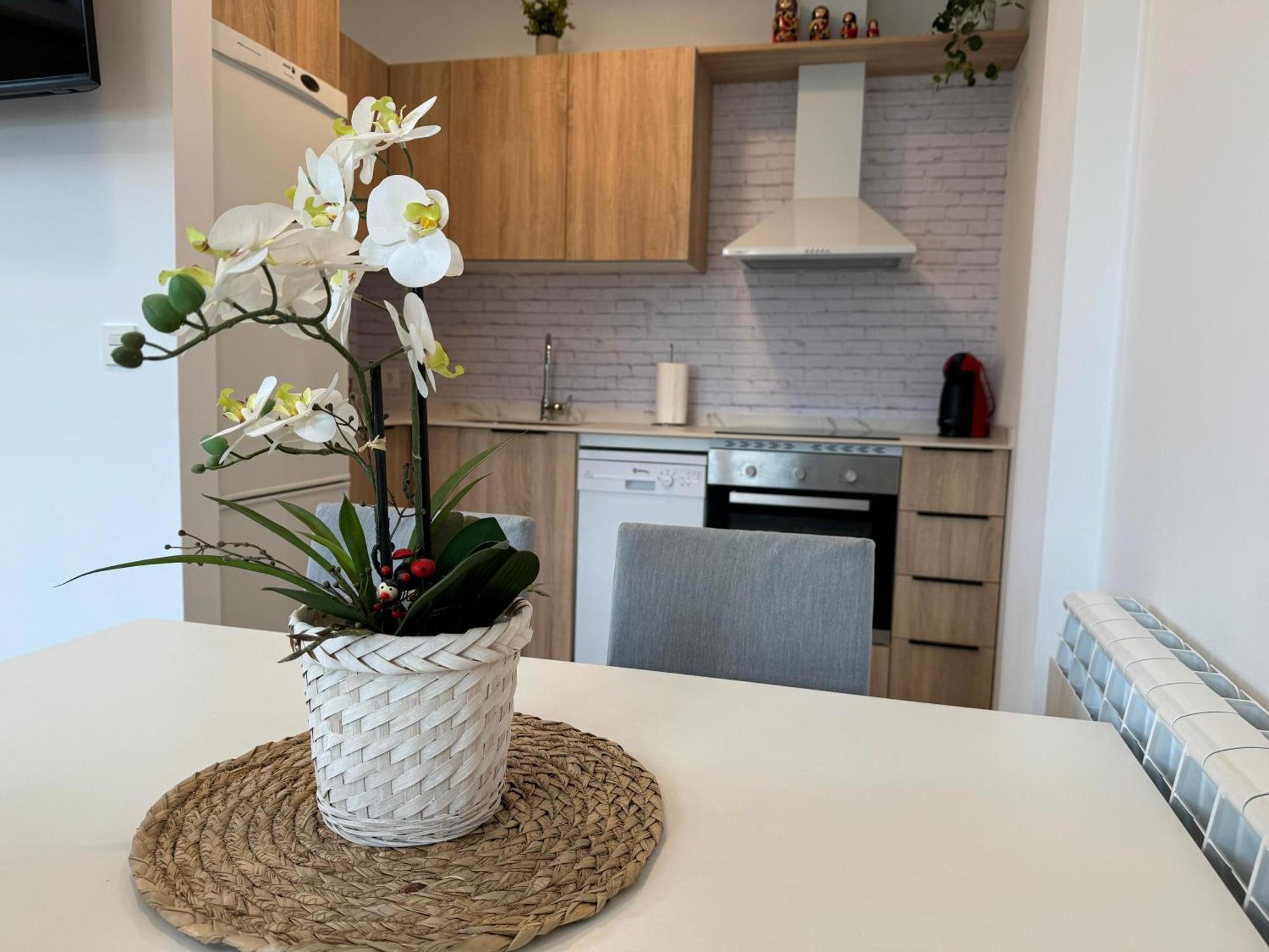 Ayegui Apartamentos Montejurra מראה חיצוני תמונה